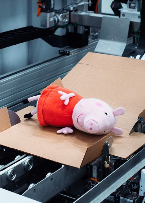 Packaging Machines in Bangalore
